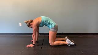 Essment Cat Pose Stretch