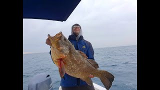 Pesca de Mero Amarillo 16.5 Kg en el Mediterráneo.