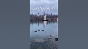 سورة النور #إكتئاب #حزن_هموم #ضيقه #loveallah #quran #ايات #تلاوة_خاشعة #قرآن
