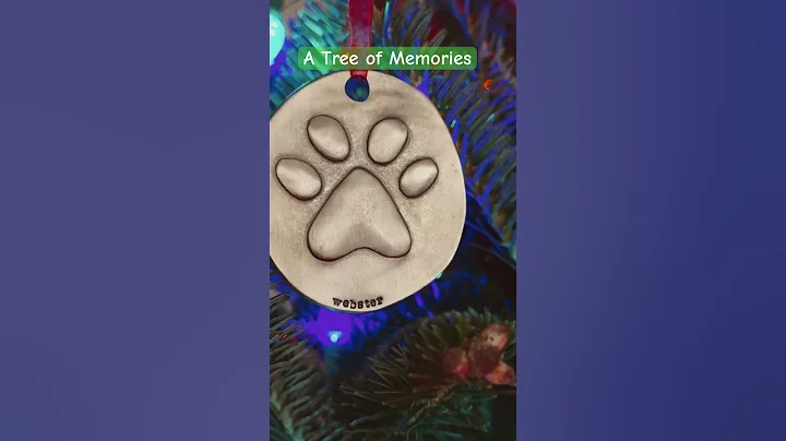 Trimming the Tree with bassets #lifewithdogs #doggielife #bassethound