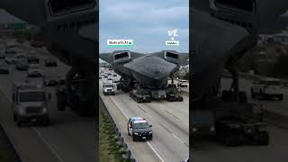 Not Your Typical Traffic Jam