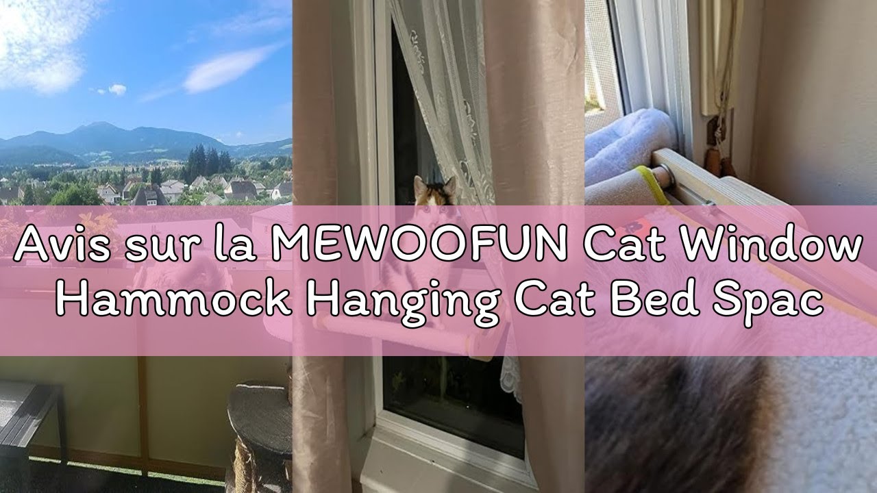Avis sur la MEWOOFUN Cat Window Hammock Hanging Cat Bed Space Saving Design Up to 40 lbs Beige