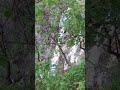 여름폭포,#waterfall#폭포#nature#힐링영상#relaxing#naturevideo#scenery#landscape#healing#peaceful#shorts#자연소리,