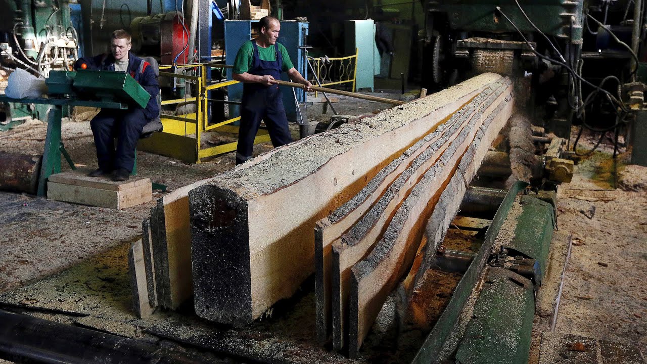 Amazing Automatic Multisaw Sawmilling Machinery Working 