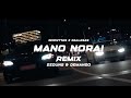 IRONVYTAS X DALLASAS Mano Norai Dzouns Demando REMIX SEREIKA MEDIA MOOD VIDEO