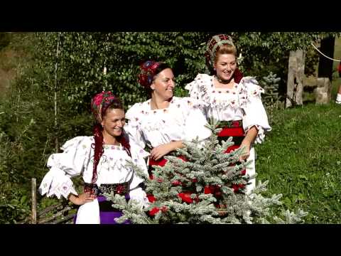 Zi mai zi cate-un picut