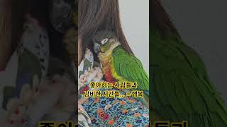 #앵무새 #parrot #앵무새카페 #birds #앵무새브이로그 #cute #코뉴어 #pets #코뉴어앵무새 #반려동물 #conure #animals #행복 #낭비한시간들