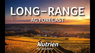 Long Range Technical Analysis - March 11, 2020