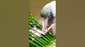 Câu Được Cá Suối SIÊU TO Trong Cơn Mưa Rừng | Hành Trình Bất Ngờ 🎣🌧️ Giờ Nấu Món Gì?