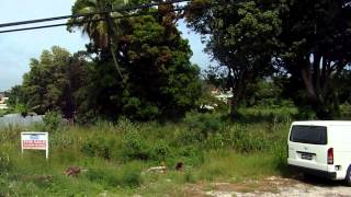 Barbados   Bus along Westcoast