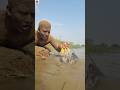 Amazing Fishing Video. best Fish Video. #fish #fishing #sanman_fishing #shorts