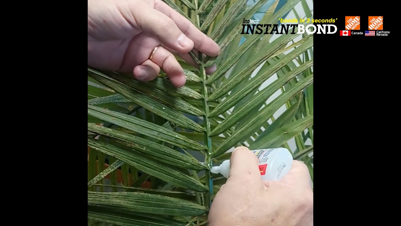 Real Plant Repair Instantbond YouTube