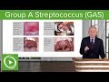 Group a streptococcus gas  infectious diseases  lecturio