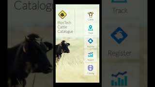TDG Global Hackathon - Bipsteck canvas app