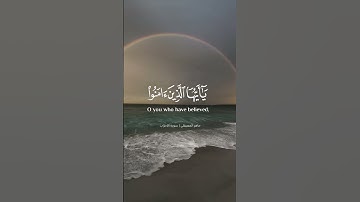 ماهر المعيقلي سورة الأحزاب. #يوم_الجمعة #حالات_واتساب #فلوقات #فلسطين #quran #مقاطع #ماهر_المعيقلي