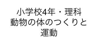 小学校4年　理科　動物の体のつくりと運動