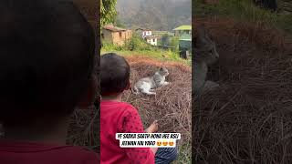 #life #faimly #viral #love #shorts #uttarakhand #share