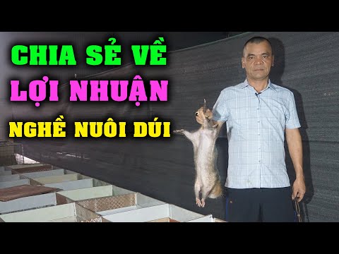 Người Gắn Bó Lâu Năm Với Nghề  Chăn Nuôi Dúi Tại Hà Nội