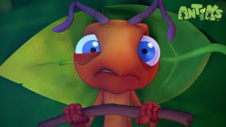 Hiccupy Heroes | Antiks 🐜 | Old MacDonald's Farm | MOONBUG KIDS | Animal Cartoons for Kids