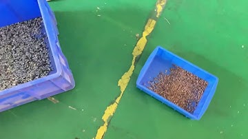 optical colour sorting machine for copper