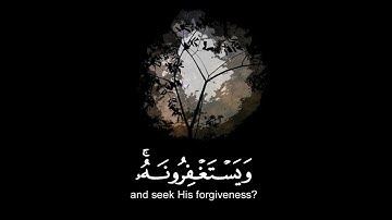 القران الكريم | سورة المائدة | القارئ عبدالرحمن مسعد | تلاوة خاشعة جميلة جدا 😌❤️ | حالات واتس اب
