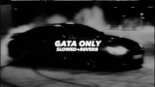 Download lagu Gata Only (Slowed And Reverb)