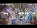 THE WITCHES MOON UNBOXING April 2020: The Witches Talisman Empowerment || Bumblebee Fern