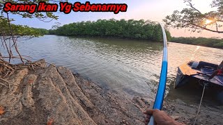After Encountering a Huge Crocodile, I Went Straight to Fishing in the Fish Kingdom Until Nightfall