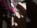 Home folding Staire Making process#reels #trending #home #homedesign #folding #stairs #homemade