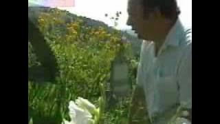 DRAGAN MUNTEAN Doamne atata mi de greu