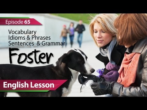 Daily Video vocabulary - Episode 65 : Foster.  English Lesson