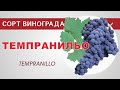 Сорт винограда Темпранильо