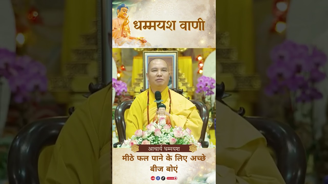 मीठे फल पाने के लिए अच्छे बीज बोएं |  Acharya Dhammayasha | आचार्य धम्मयश