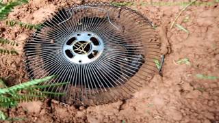 Amazing Boy Make Turtle Trap In 10 Minutes Using PVC Fan And Plastic Basket To Catch Big Turtle