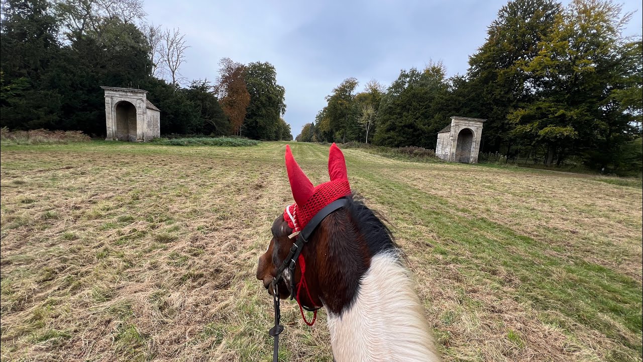 VWH Fun Ride (Cirencester Park: 13/10/24) - YouTube
