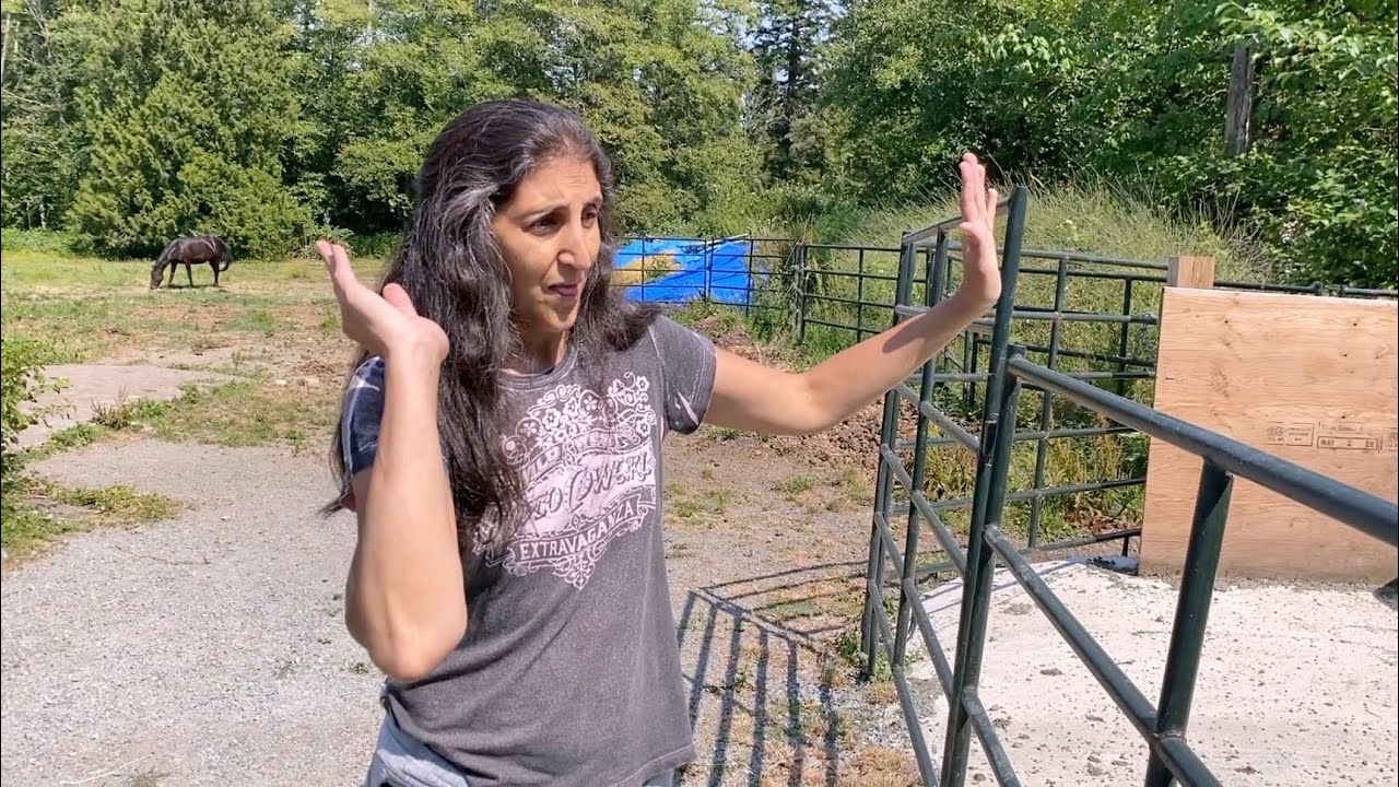 The Super Simple Easiest Way to Compost Horse Manure YouTube