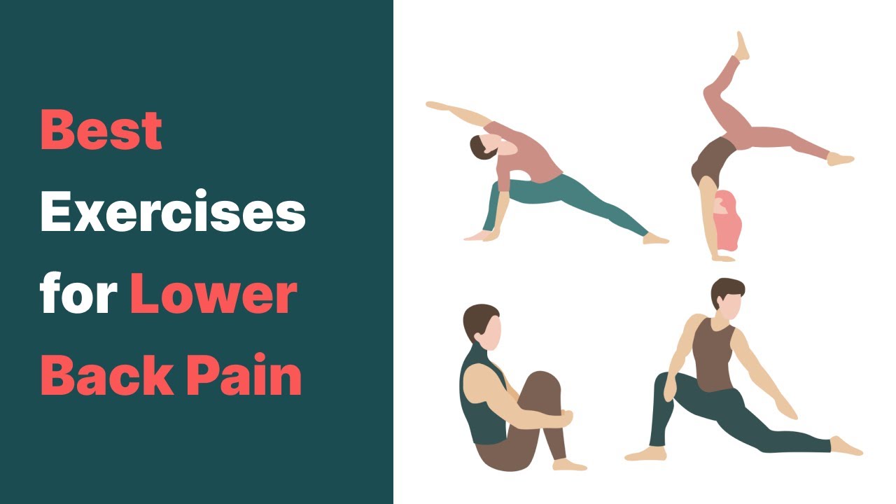Best Exercises for Lower Back Pain - YouTube