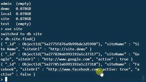 Mongo Shell Basics - "Remove Data From Mongo Database"