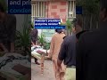 Suicide bombing kills at least 12 in northwest Pakistan | DW News