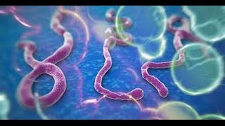 Viruses Documentary 2017 - NOVA SURVIVING A I D S