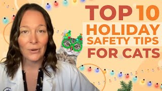 A Vet Shares Her Top 10 Cat Holiday Health and Safety Tips