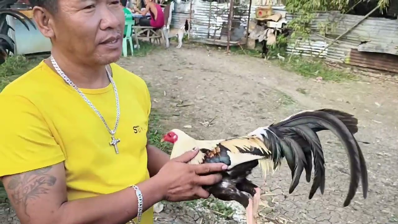 LUMIPAD ANG TAAS PARANG IBON 9K PRICE