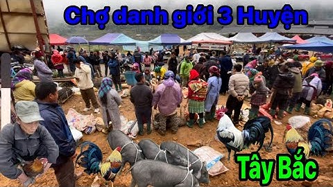 Phiên chợ vùng cao xã lùng phình mộc mạc đơn sơ giản dị,khu vực Tây Bắc