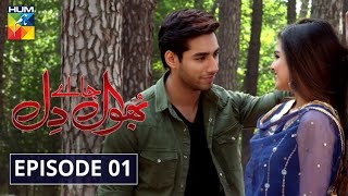 Bhool Jaa Ay Dil Episode 1 HUM TV Drama 16 November 2020