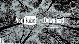 Black and White - Max Surla, Media Right Productions (No Copyright Music)(1)