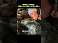数分後に異変発生！ 橋脚の穴から現れた巨大な獲物！