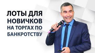 Лоты для новичков на торгах по банкротству