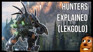 Hunters (Lekgolo) | Explained in Great Detail - Halo Lore by Woodyisasexybeast 26,599 views 1 year ago 12 minutes, 10 seconds