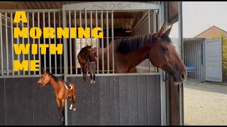 A MORNING WITH ME AT THE STABLES