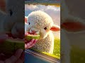 What Did the Lamb Eat Today? 🐑 Discover the Cutest AI Pet's Day!